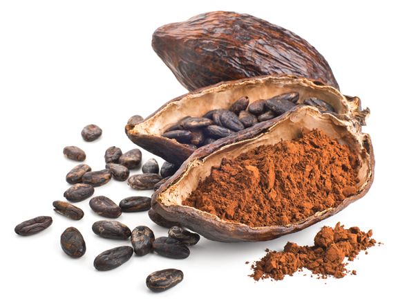 Scho­ko­la­de für den Hund:  Süs­ser Genuss  oder töd­li­ches Gift ?